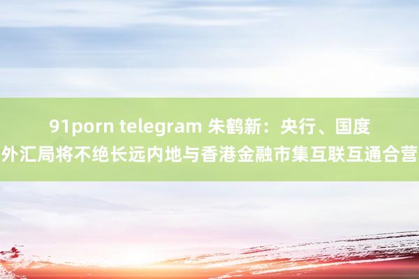91porn telegram 朱鹤新：央行、国度外汇局将不绝长远内地与香港金融市集互联互通合营