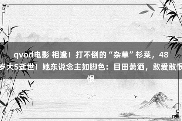 qvod电影 相逢！打不倒的“杂草”杉菜，48岁大S逝世！她东说念主如脚色：目田萧洒，敢爱敢恨