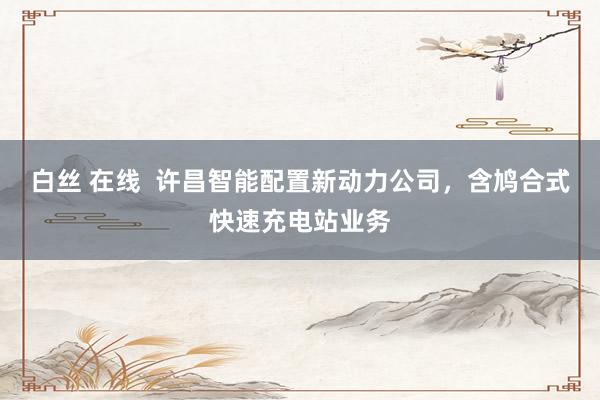 白丝 在线  许昌智能配置新动力公司，含鸠合式快速充电站业务